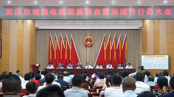 远东电缆受邀参加武汉市电线电缆质量联合整治提升行动大会