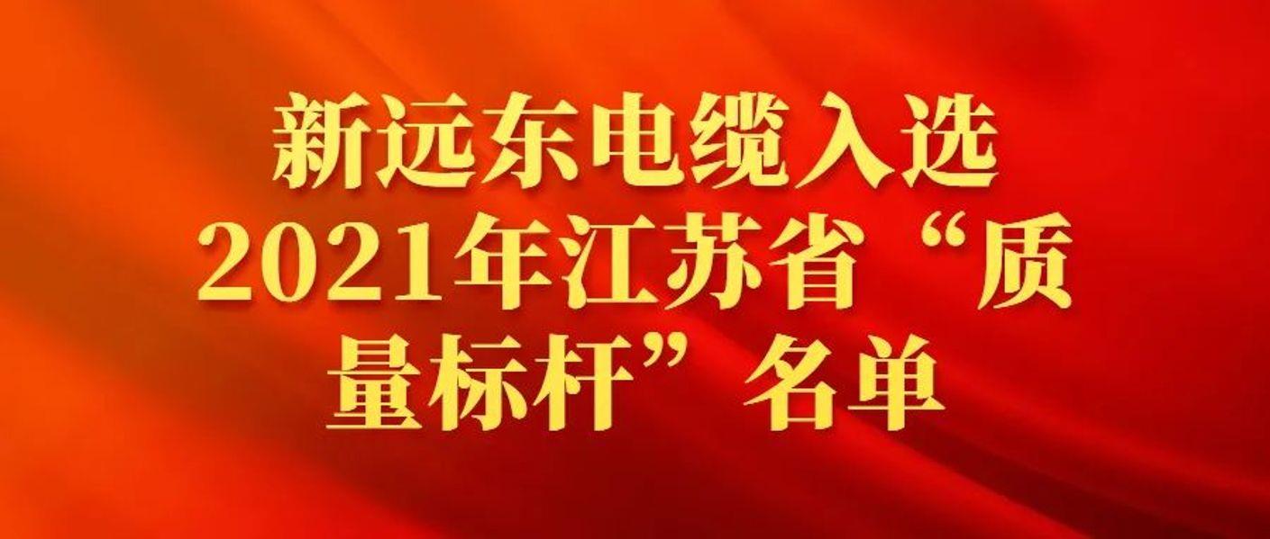 喜讯！新远东电缆入选2021年江苏省“质量标杆”名单