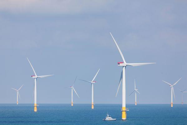 远东电缆：开发大功率风电机组用产品 助力海上风电高质量发展