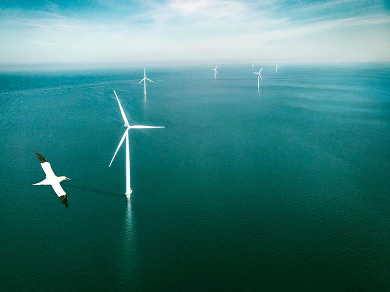 壳牌和埃尼科合资公司与荷兰海上风电承包商vanOord携合作生态海上风电场