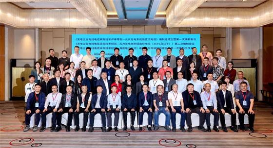 中國招標投標協會《發電企業電線電纜采購技術評審導則——光伏發電系統用直流電纜》等團體標準編制工作會在宜興召開