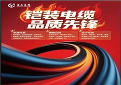 金友安全線纜方案 | 保障建筑光伏防火安全